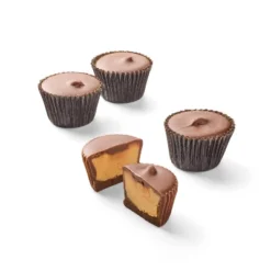 Favorite Day -Favorite Day GUEST bb5a2fc2 2620 40f1 abaa e8f1dc1cd48b