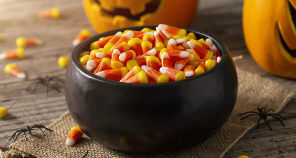 Favorite Day -Favorite Day edrtr